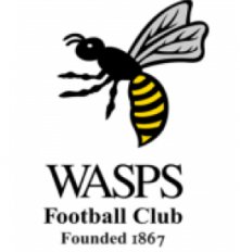 Wasps FC