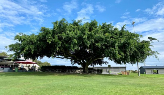 NOOSA RUGBY UNION CLUB INC.