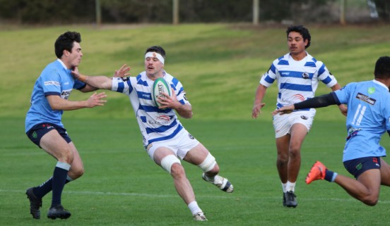 Wagga City Rugby