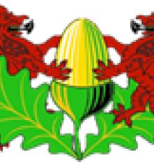 Yeovil Rugby Club